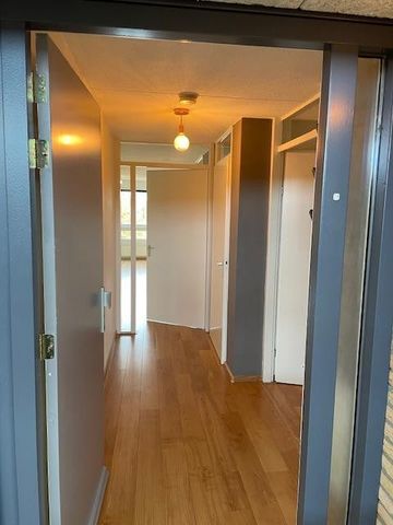 Judas Taddeusplein, 28, 5622JX, Eindhoven - Foto 5