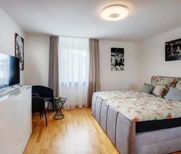 Large, furnished 1-room apartment for rent - Foto 1