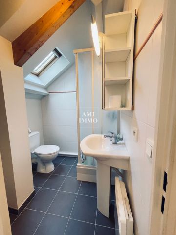 Location Appartement 1 pièce 20m² IGNY 91430 - Photo 3