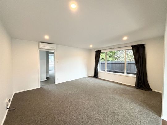 11 Newland Street, Hoon Hay, NZ 8025 - Photo 1