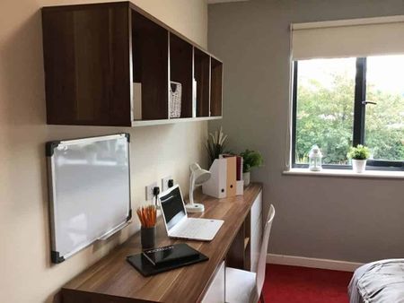 Classic En-Suite Behn Hall - Photo 5