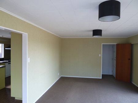 9 Belk Place, Feilding, Manawatu - Photo 3