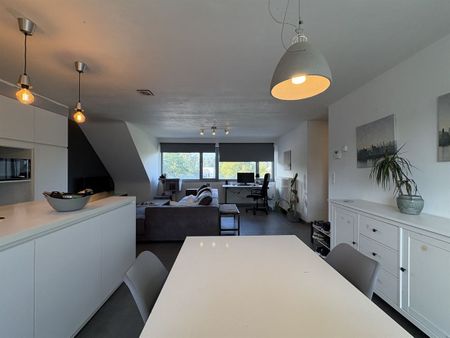Gebroeders De Winterstraat 115, 2275, Wechelderzande - foto 3