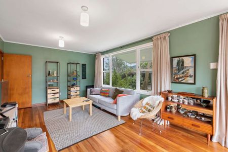 23 Princes Street, Waihi - Photo 5