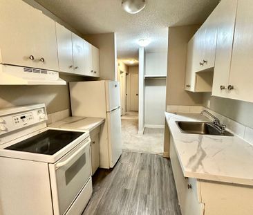 Bright and Updated 2 Bedroom Apartments - Photo 4