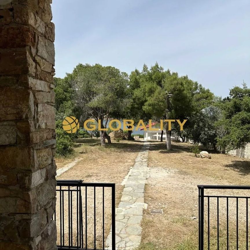 Μονοκατοικία για ενοικίαση Πόρτο Ράφτη (Μαρκόπουλο) - Photo 1