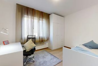 Via Cernaia, Padova, Veneto 35141