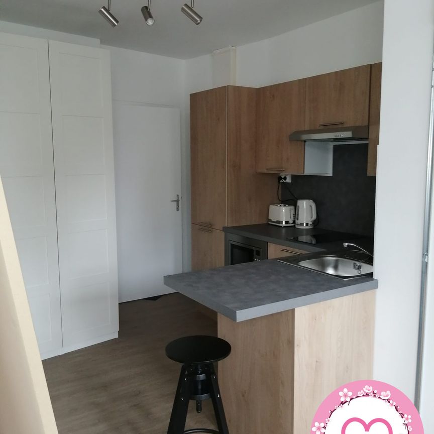 Location Appartement 1 pièce 22m² SULLY SUR LOIRE 45600 - Photo 1