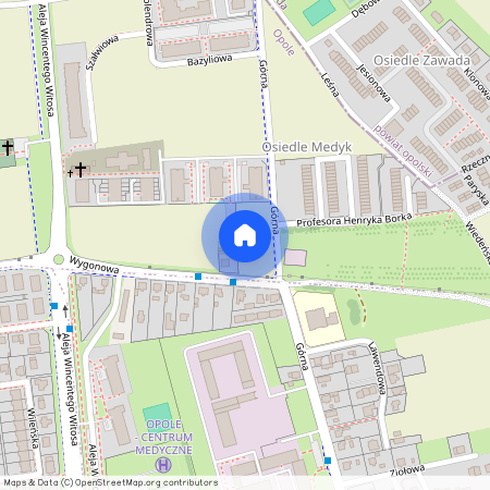 ul. Górna, Gosławice, Opole, opolskie