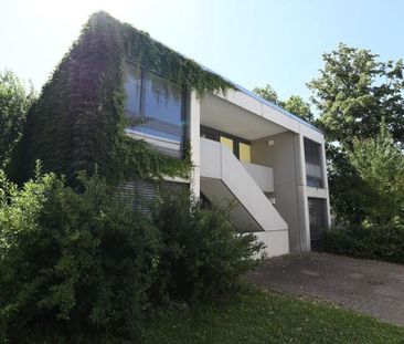 Small but nice – Living on the Bruderholz - Photo 1