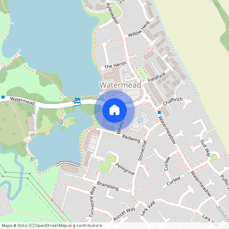 Whinchat, Buckinghamshire HP19