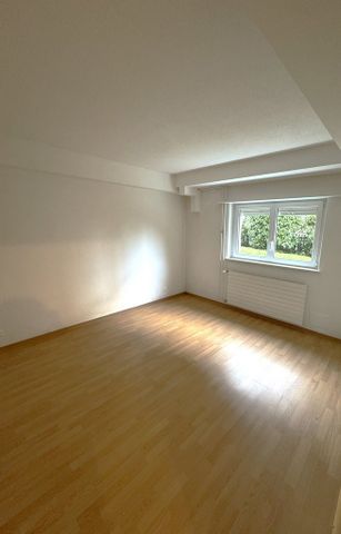 Bijou am Zürichberg, moderne Wohnung mit Gartensitzplatz - Photo 2