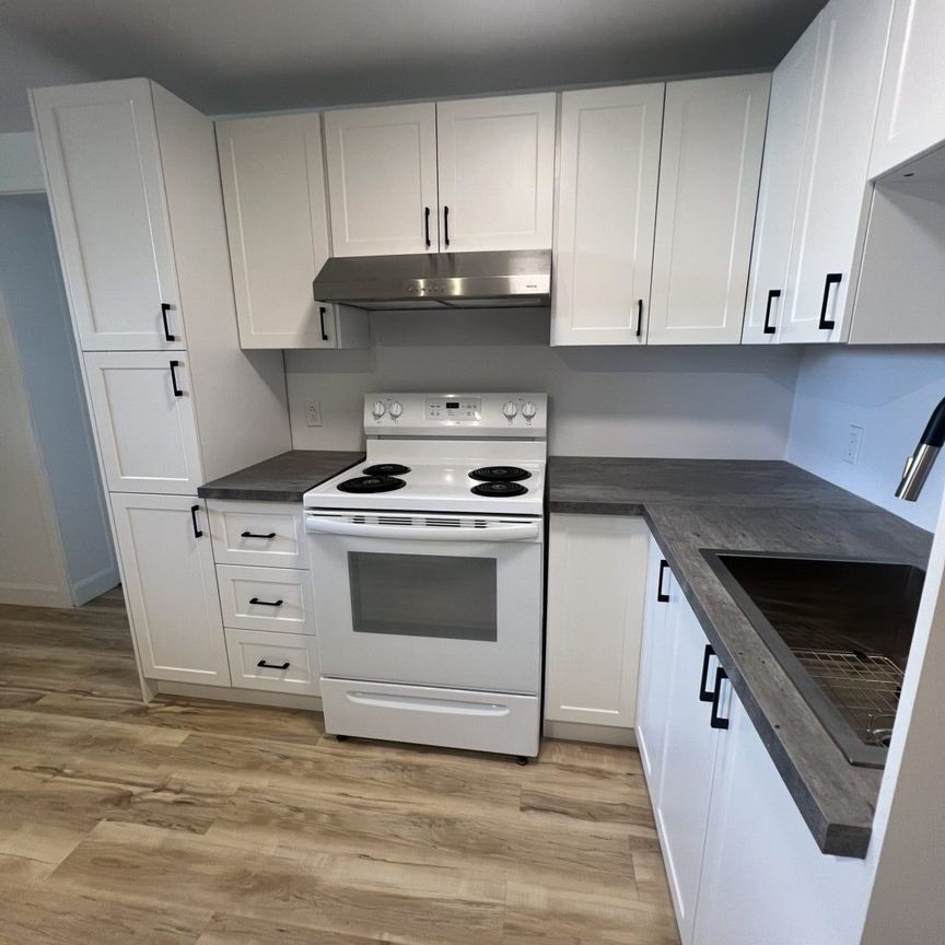 1035#7 rue Dubé Trois-Rivières - Photo 1