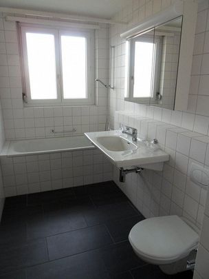 Zwischen Limmat und Rebbergen: Höngg verbindet Natur mit Stadtleben - Foto 1