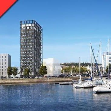 Location Appartement 1 pièce 23m² LE HAVRE 76600 - Photo 3
