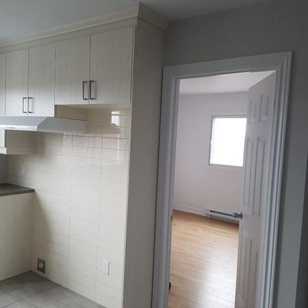 5 1/2 MARS OU AVRIL - Photo 3