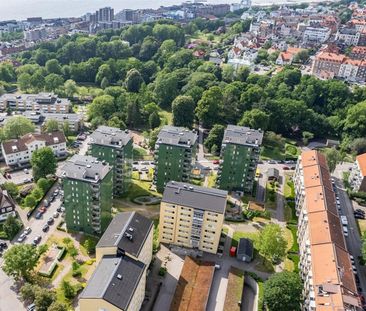 Övre Långvinkelsgatan 146A - Photo 5