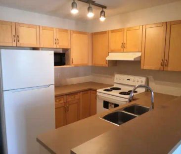Quiet and good location. 2 bedrooms and 2 full bathrooms plus a den... - Photo 1
