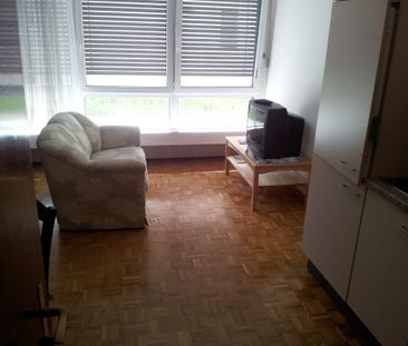 Appartamento di 2 locali a Massagno - Foto 2