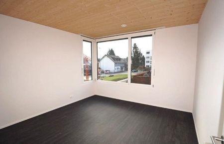 New construction first occupancy: 3.5-room Midi houses in Ehrendingen - Photo 3
