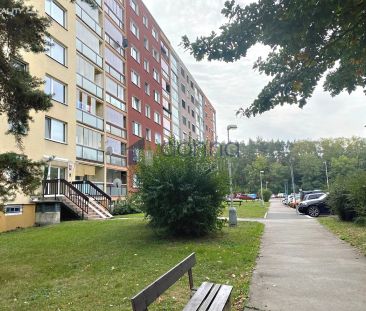 Pronájem bytu 1+kk 29 m² - Photo 2