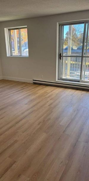 2 CH - 1 SDB - Gatineau - $1,695 /mo - Photo 1