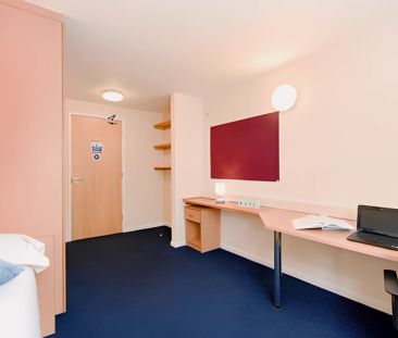 Ensuite - Gold - Photo 4