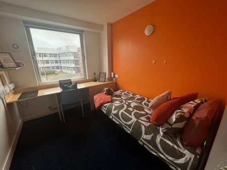 Studio to rent - Photo 5