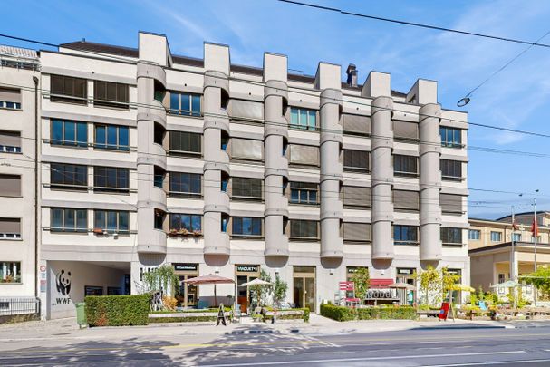 Singlewohnung am Puls von Zürich - Photo 1