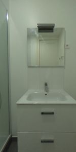 APPARTEMENT T3 A LOUER - LYON 7EME ARRONDISSEMENT - 55.36 m2 - 920 € charges comprises par mois - Photo 4