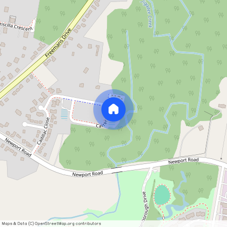 24 Carrera Crescent, NSW 2265, Cooranbong