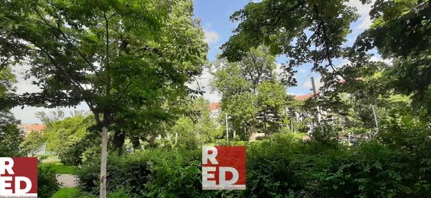 tolles Apartment -Blick auf den Park Heizung/Warmwasser/Garagenplatz inkludiert - Photo 1