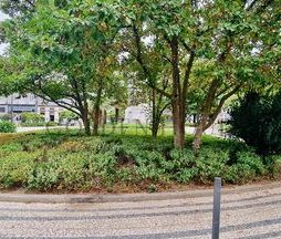 Apartamento T0 - Photo 4