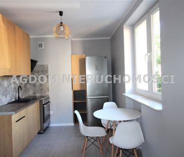 Centrum, Włocławek - Zdjęcie 2