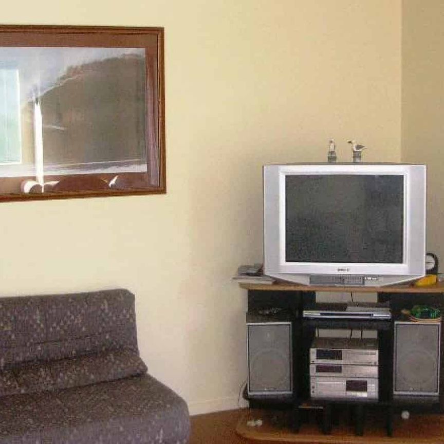 218 PAPANUI ROAD, WHANGAMATA - Photo 1