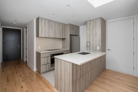 Condo for rent, Montréal (Ville-Marie) - Photo 2