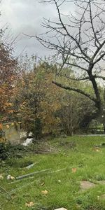 Studio 25m² (réf 6936080) - Photo 4