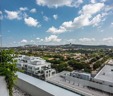 Condo for rent, Montréal (Côte-des-Neiges/Notre-Dame-de-Grâce) - Photo 3