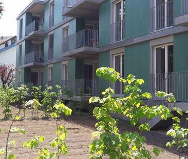 3.5 Zimmer Wohnung - Foto 5