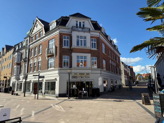 166 m² lækker lejlighed midt i gågagen med elevator og alten - Photo 1