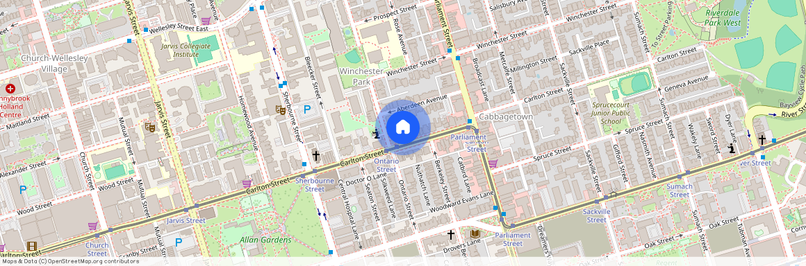 208 Carlton Street Unit# Main, Toronto