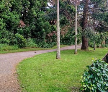 Country living in Ohaeawai - Photo 1