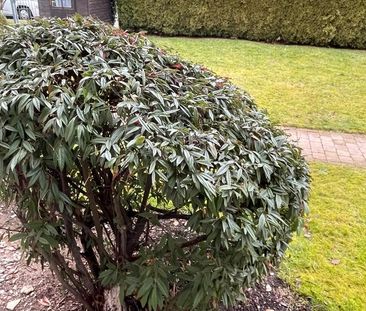 3 Zimmerwohnung mit Terrasse, Garten , Gartenhütte und Tiefgarage - Photo 3