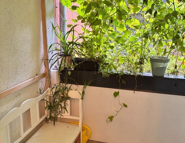 Sublet of 2-Room Apartment with Registration (Anmeldung) - Foto 1