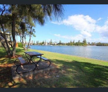 North facing unit opp park - Photo 5