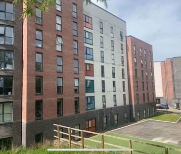 Classic Studio - Photo 6