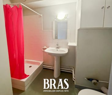 Location Appartement 1 pièce 16m² NANTES 44300 - Photo 4