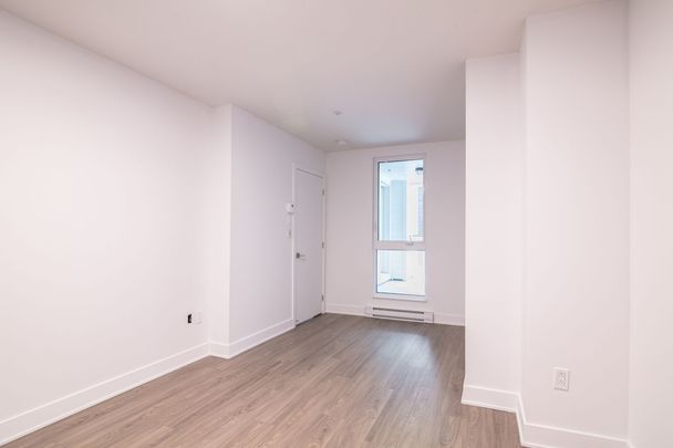 9675 Av. Papineau - Photo 1