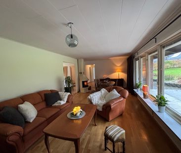 På landet mitt i stan - Foto 1