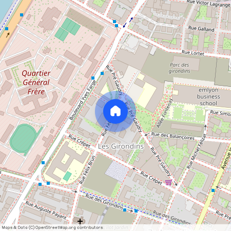5 Rue Félix Brun 69007 Lyon